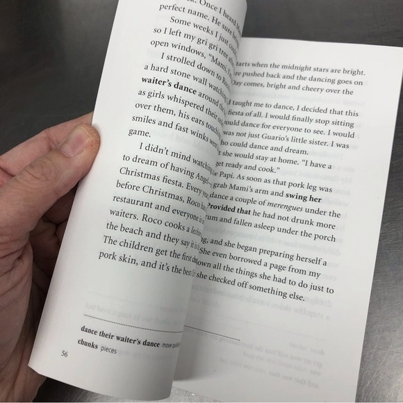 The Color of my Words by: Lynn Joseph, paperback book - Picture 3 of 5